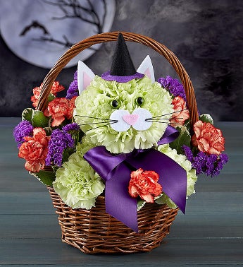 Purrfect Potions Fabulous Feline