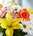 Fields Of Europe® Get Well