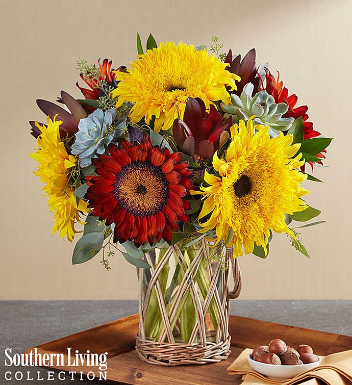 Sunflower Succulent Garden by Southern Living®