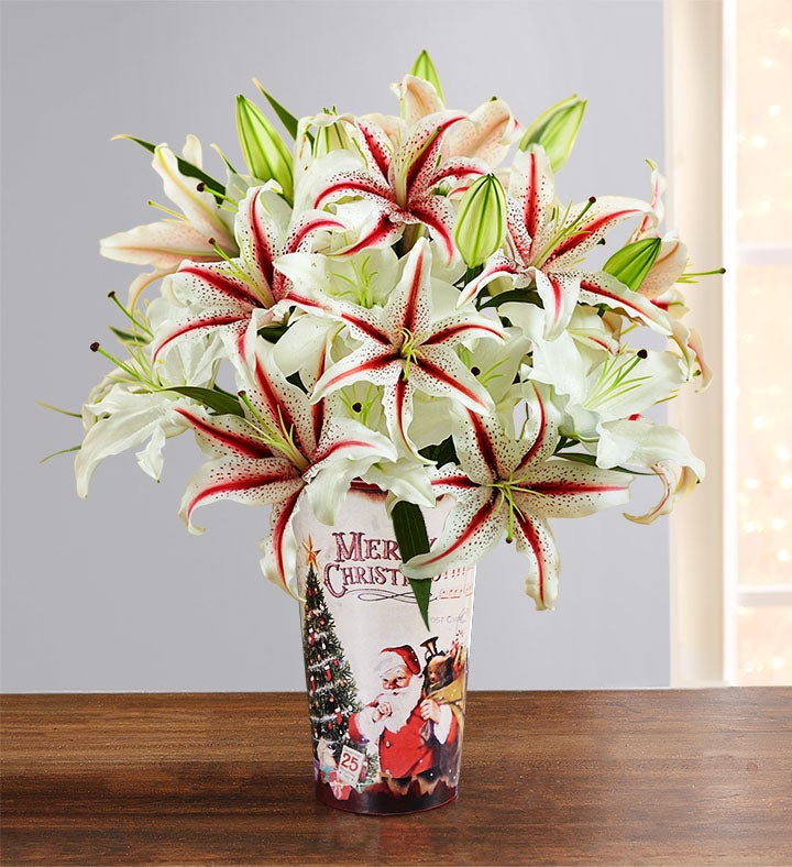 Candy Cane Lilies