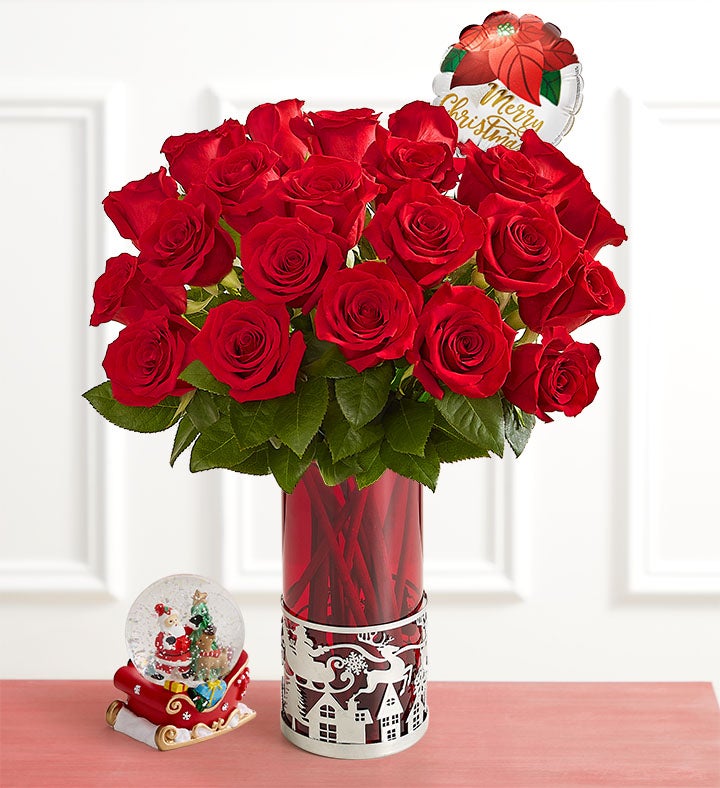 Two Dozen Red Roses + Free Vase