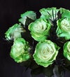 Glow in the Dark Starlight™ Roses