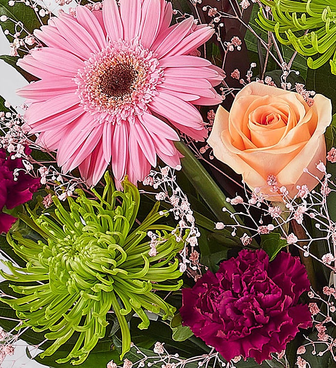 160100alt_view080219