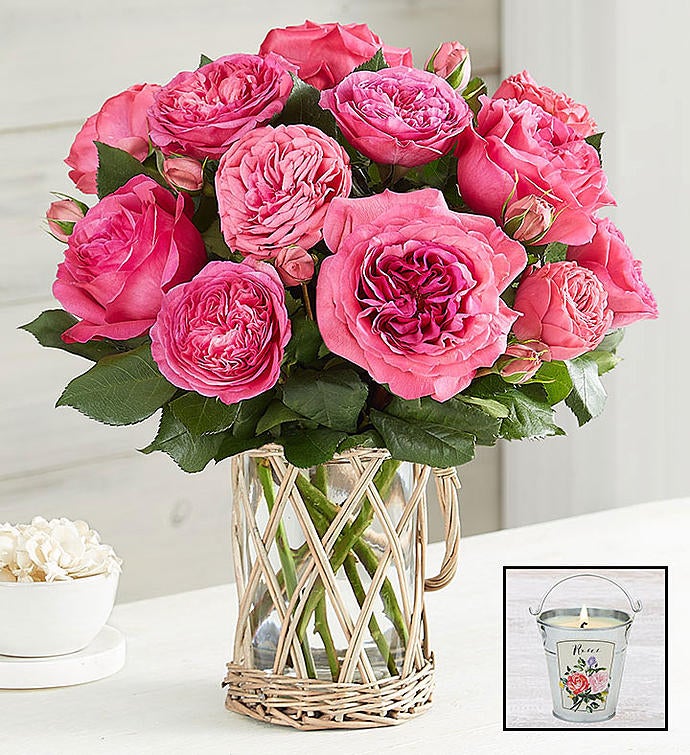 Hot Pink Garden Roses + Free Candle