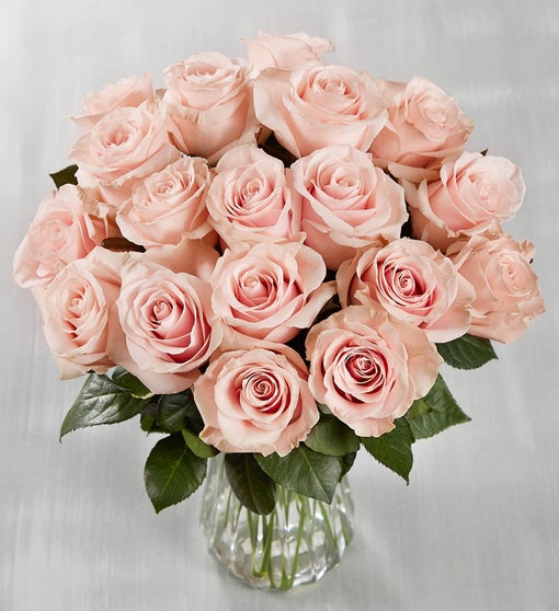 Ecuador Premiere Light Pink Roses, 18 Stems