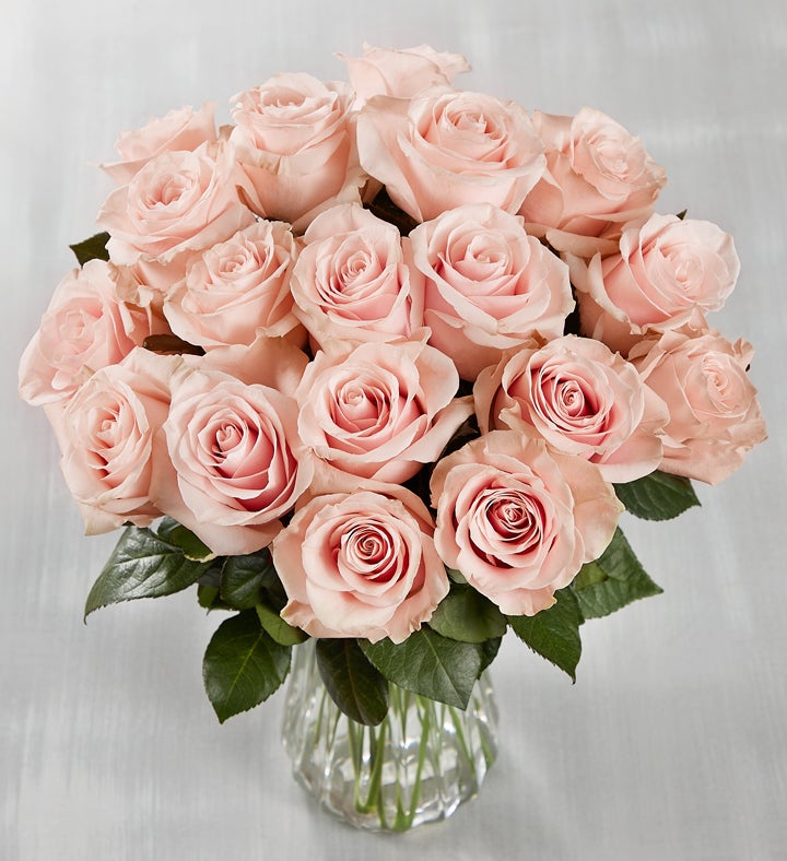 Ecuador Premiere Light Pink Roses, 18 Stems