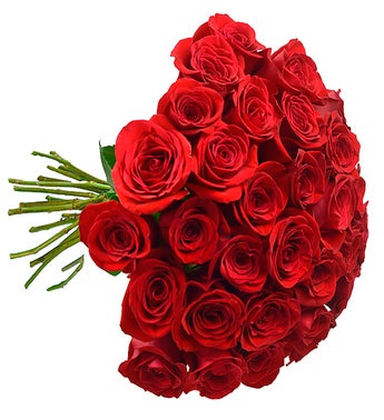 Send Flowers and Gifts to Brazil | 1-800-Flowers.com