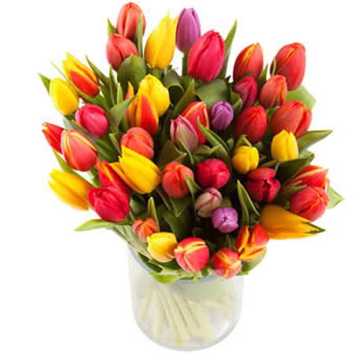 Mixed Carnaval tulips
