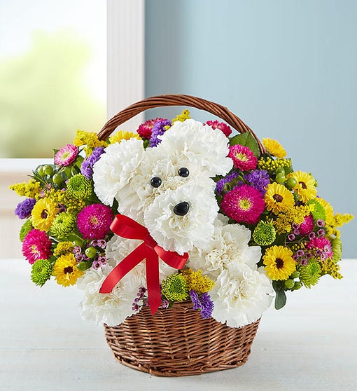 A Dog Able In A Basket 1800flowerscom 161097