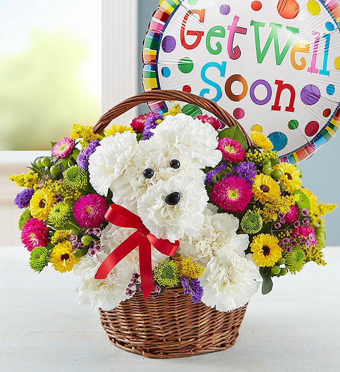 a-DOG-able® in a Basket Get Well