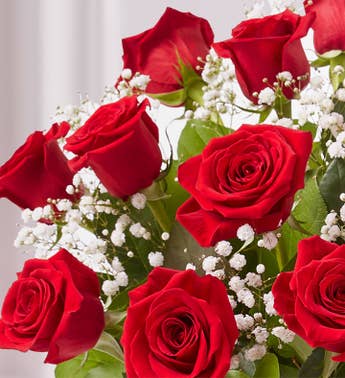 Same Day Flower Delivery | Flowers Delivered Today ... on Same Day Flowers id=96545