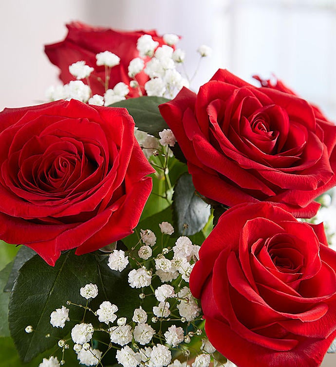 Rose Elegance™ Premium Long Stem Red Roses