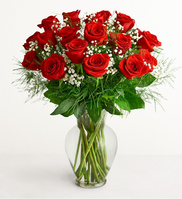 Rose Elegance™ Premium Long Stem Red Roses