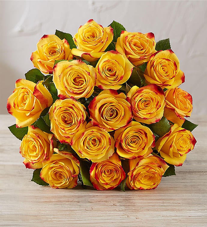 Rose of the Month Club 100308