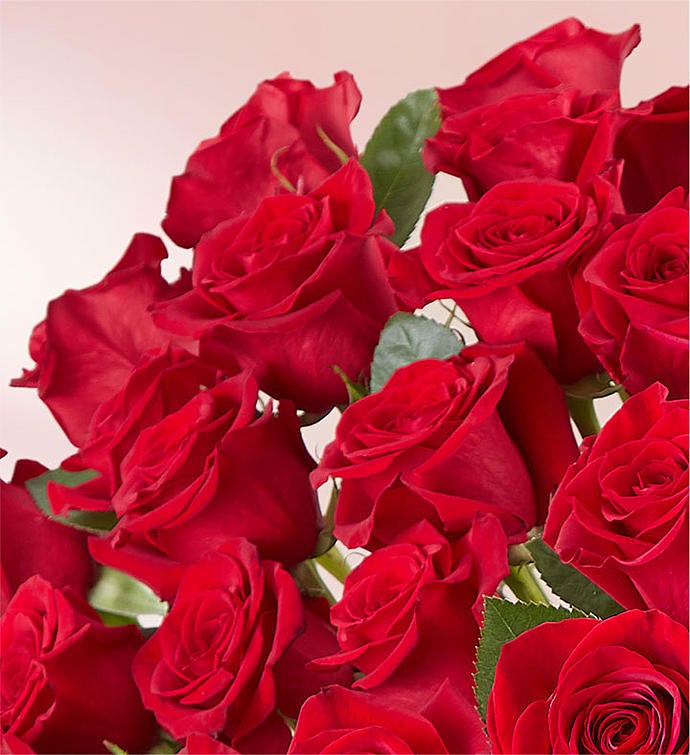 100 Premium Long Stem Red Roses