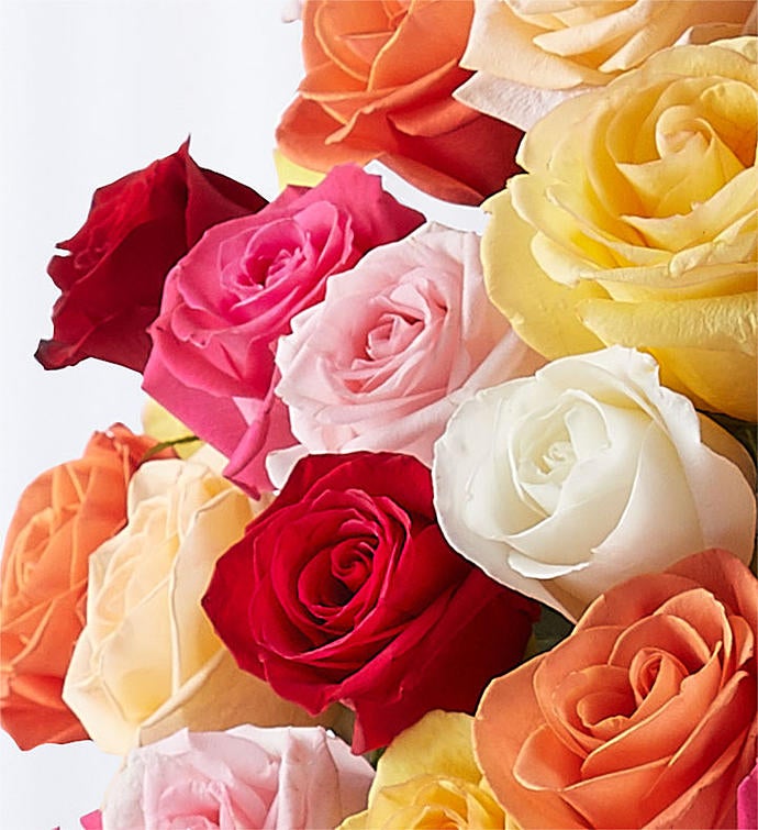 100 Premium Long Stem Assorted Roses