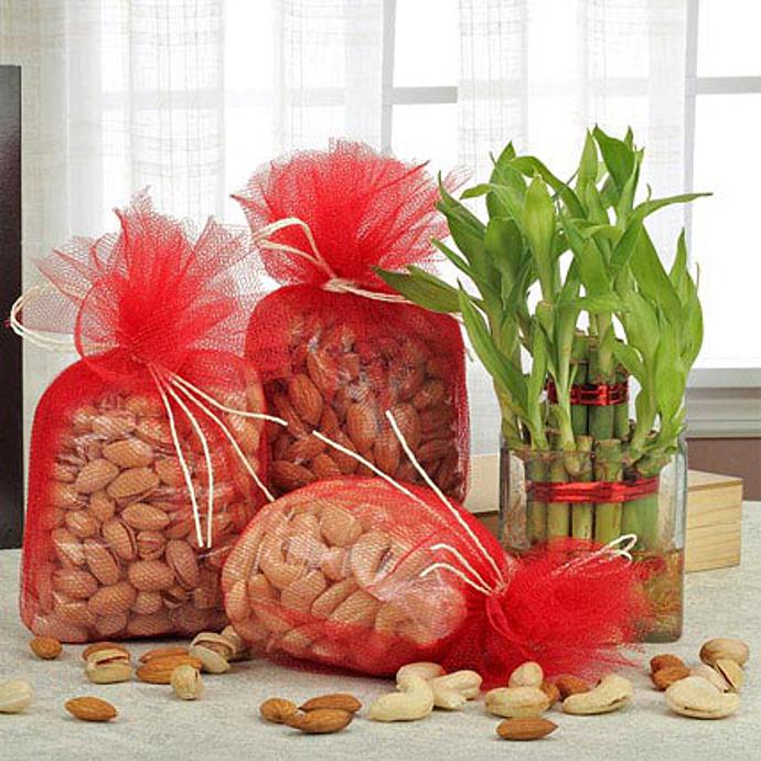 Best Combo Diwali Gift