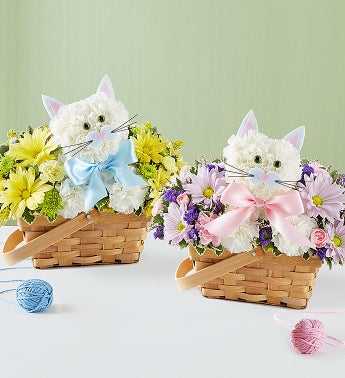 Fabulous Feline Boy or Girl