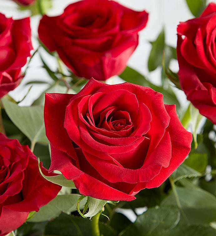 Heart’s Desire™ Long Stem Red Roses