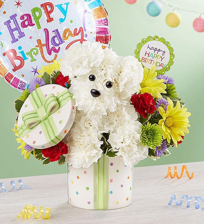 Party Pooch 1800flowers Com