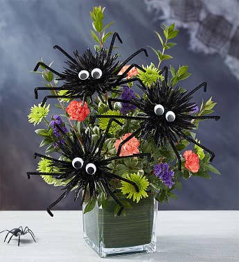 Spook-tacular Spiders
