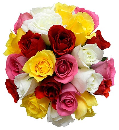 Colorful Roses - Larger