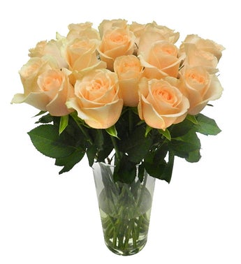 16 Salmon Brazilian Roses