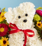 a-DOG-able® in a Basket