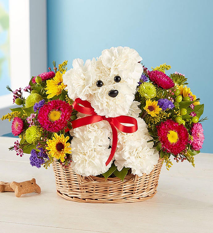 a-DOG-able® in a Basket | 1800flowers.com