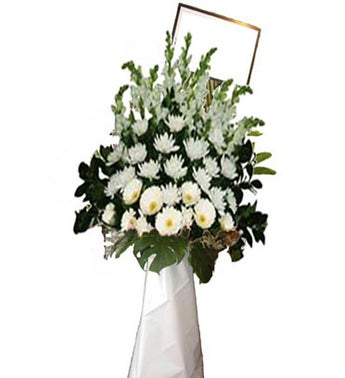 Send Flowers to Hong Kong I Flowers to Hong Kong I 1-800-Flowers.com