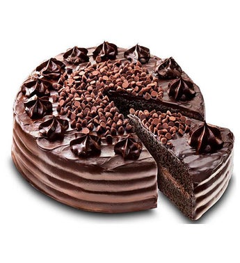Ultimate Chocolate Cake