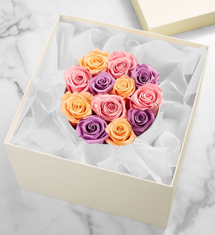 Magnificent Roses Preserved Sorbet Roses | 1800flowers.com