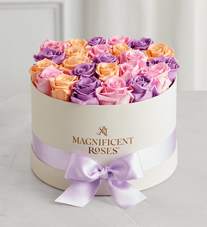 Magnificent Roses Preserved Sorbet Roses