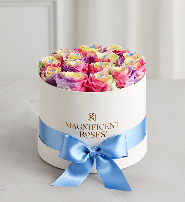 Magnificent Roses® Preserved Kaleidoscope Roses