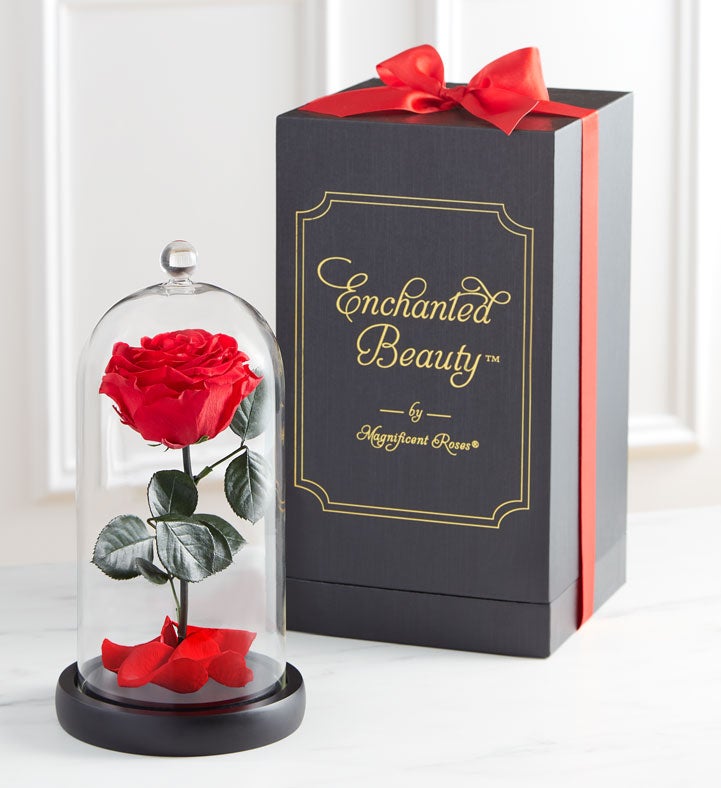 Enchanted Beauty by Magnificent Roses® Red