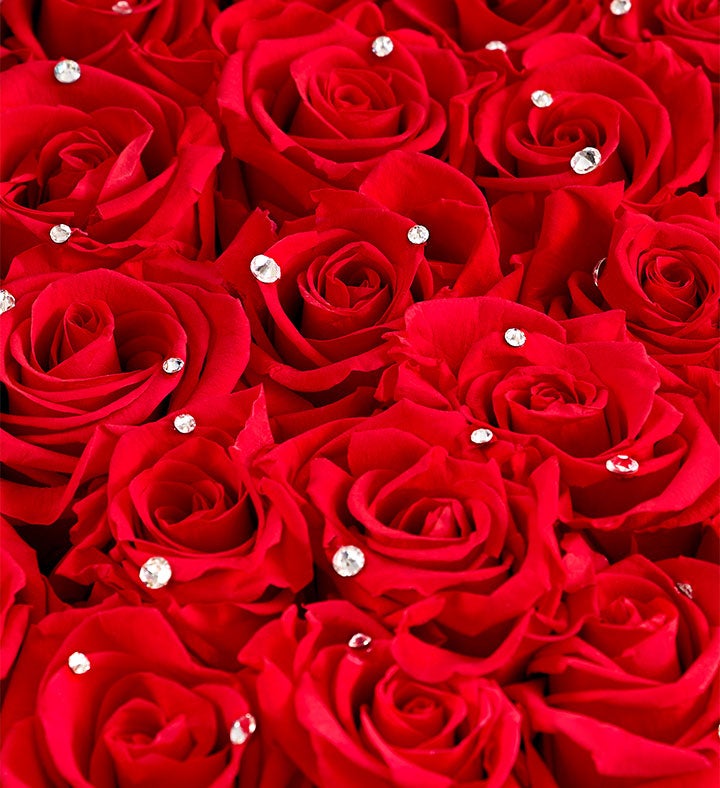 Magnificent Roses® Preserved Sparkle Red Roses