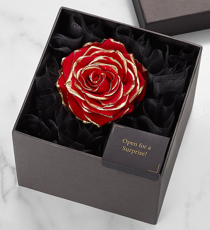 Magnificent Roses® Preserved Gold Kissed Red Rose