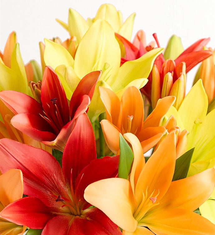 Autumn Lily Bouquet