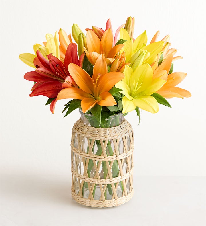 1-800-Flowers Flower Delivery November Sun Lily Single Bouquet W/ Wicker Vase