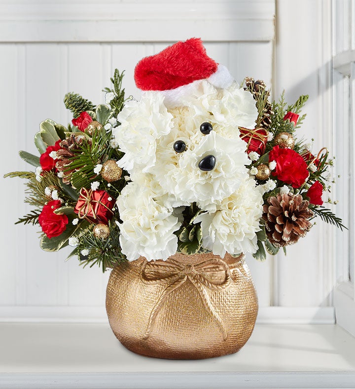 Carnation Bouquets Carnation Delivery 1800Flowers