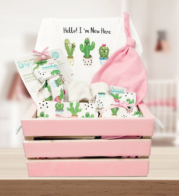 Personalized Baby Girl Gift Basket, Baby Cactus