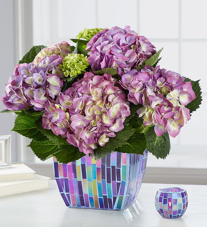 Hydrangea in Mosaic Planter from 1-800-FLOWERS.COM