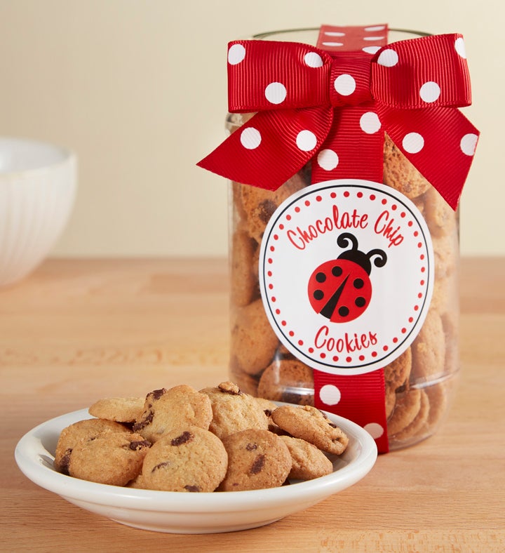 Lucky Ladybug Gerbera Daisy