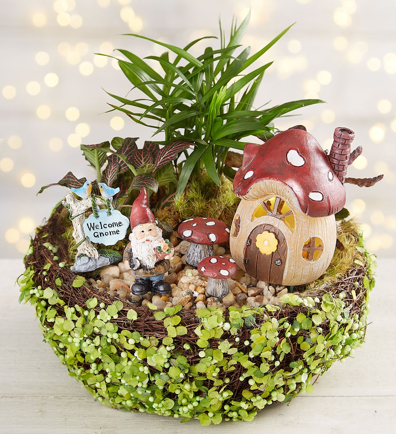 Welcome Gnome Garden | 1800Flowers.com