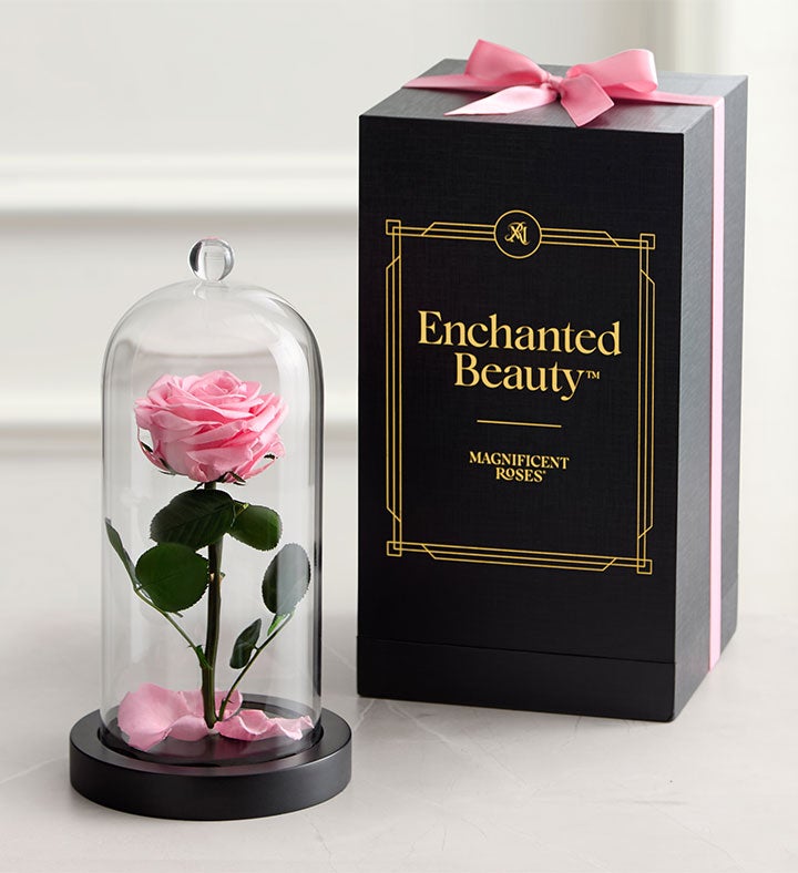 Enchanted Beauty™ by Magnificent Roses® Pink