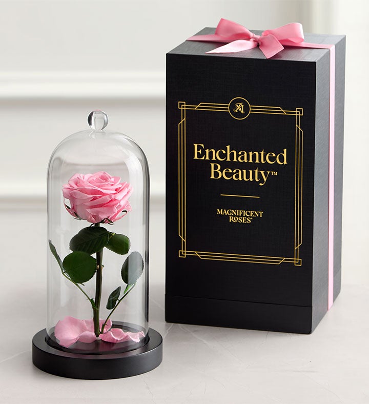 Enchanted Beauty™ by Magnificent Roses® Pink | 1800Flowers.com