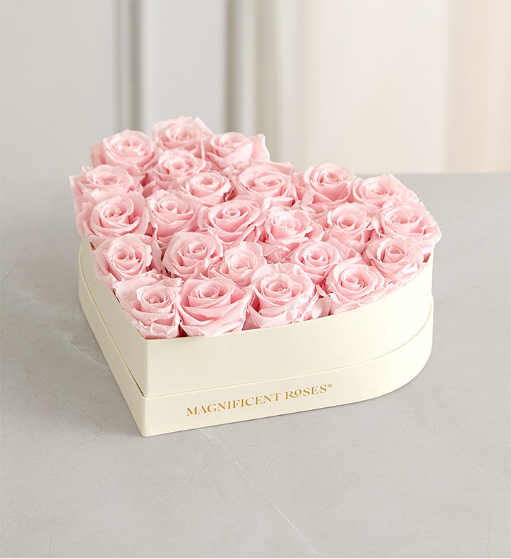 Magnificent Roses® Preserved Pink Heart & Necklace