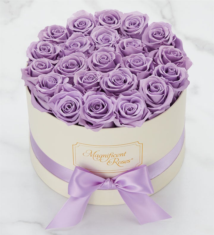 Magnificent Roses® Preserved Lavender Dream | 1800Flowers.com