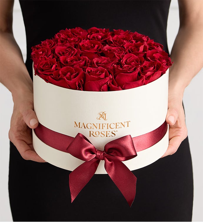 Magnificent Roses® Preserved Cabernet Roses