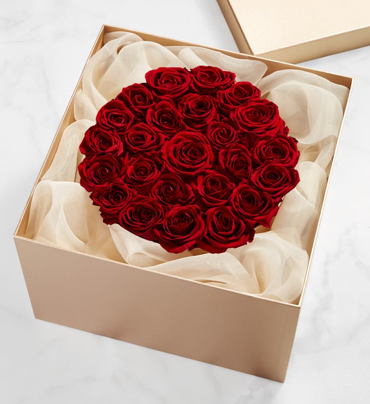 Magnificent Roses® Preserved Cabernet Roses